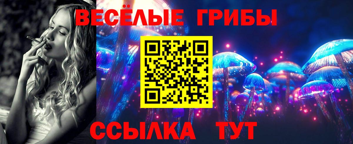 Галлюциногенные грибы Cubensis Донецк