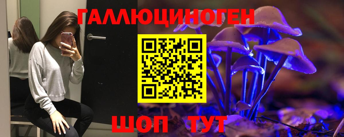 Галлюциногенные грибы GOLDEN TEACHER  Псилоцибиновые грибы MAGIC MUSHROOMS  Донецк  Вход с VPN 